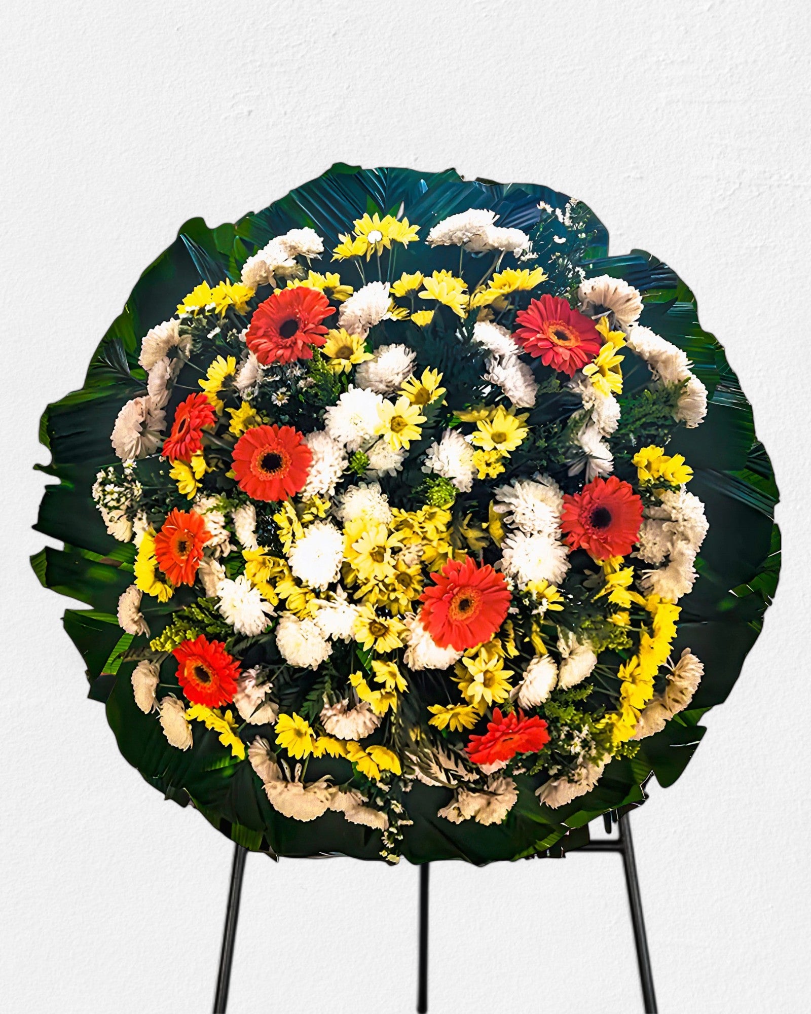 Coroa Tradicional 3