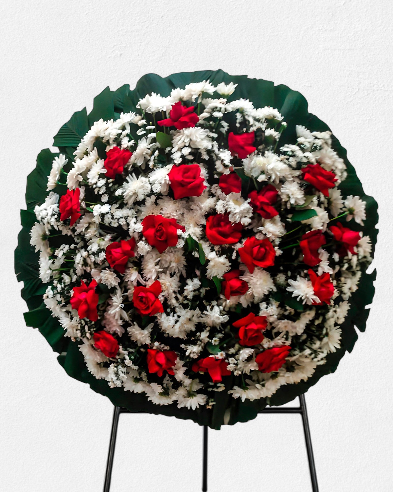 Coroa Tradicional 4