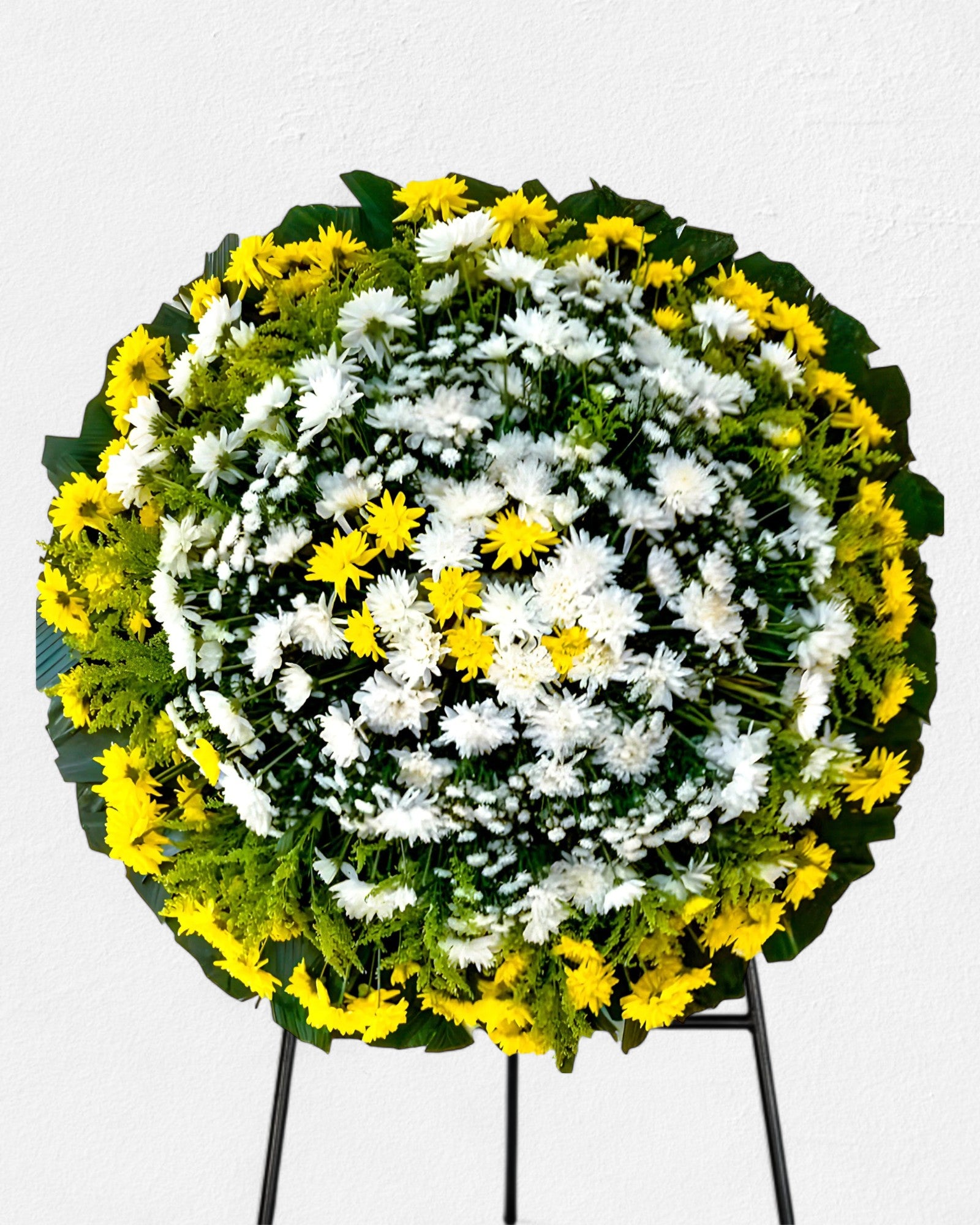 Coroa Tradicional 5
