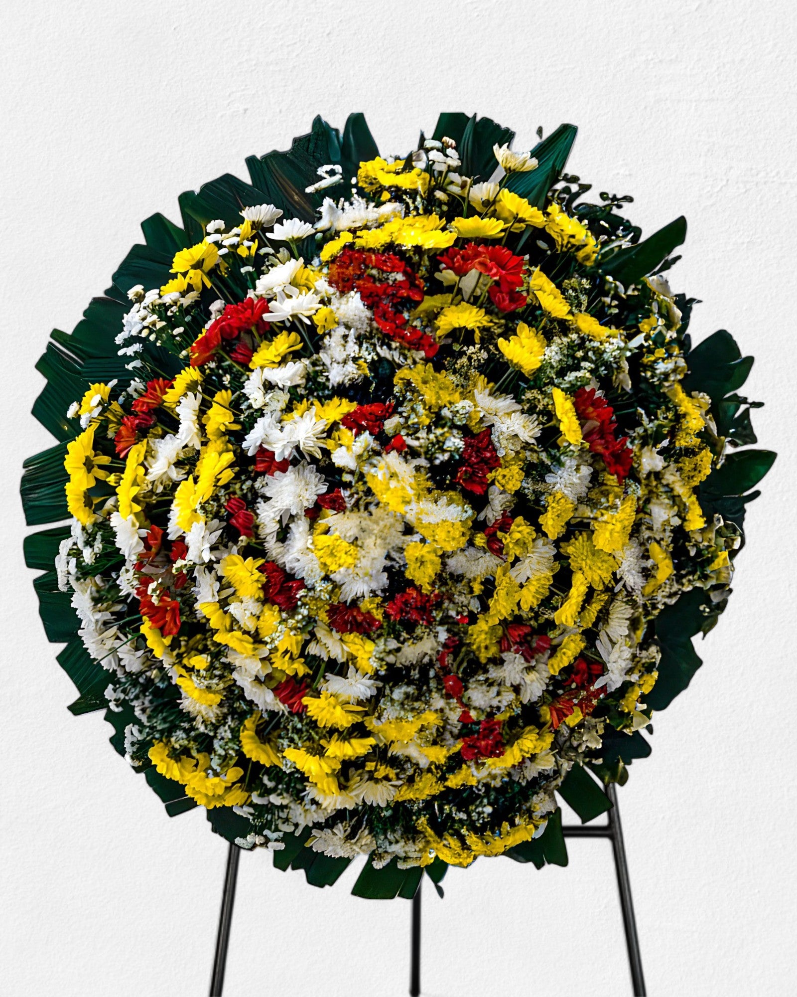 Coroa Tradicional 6