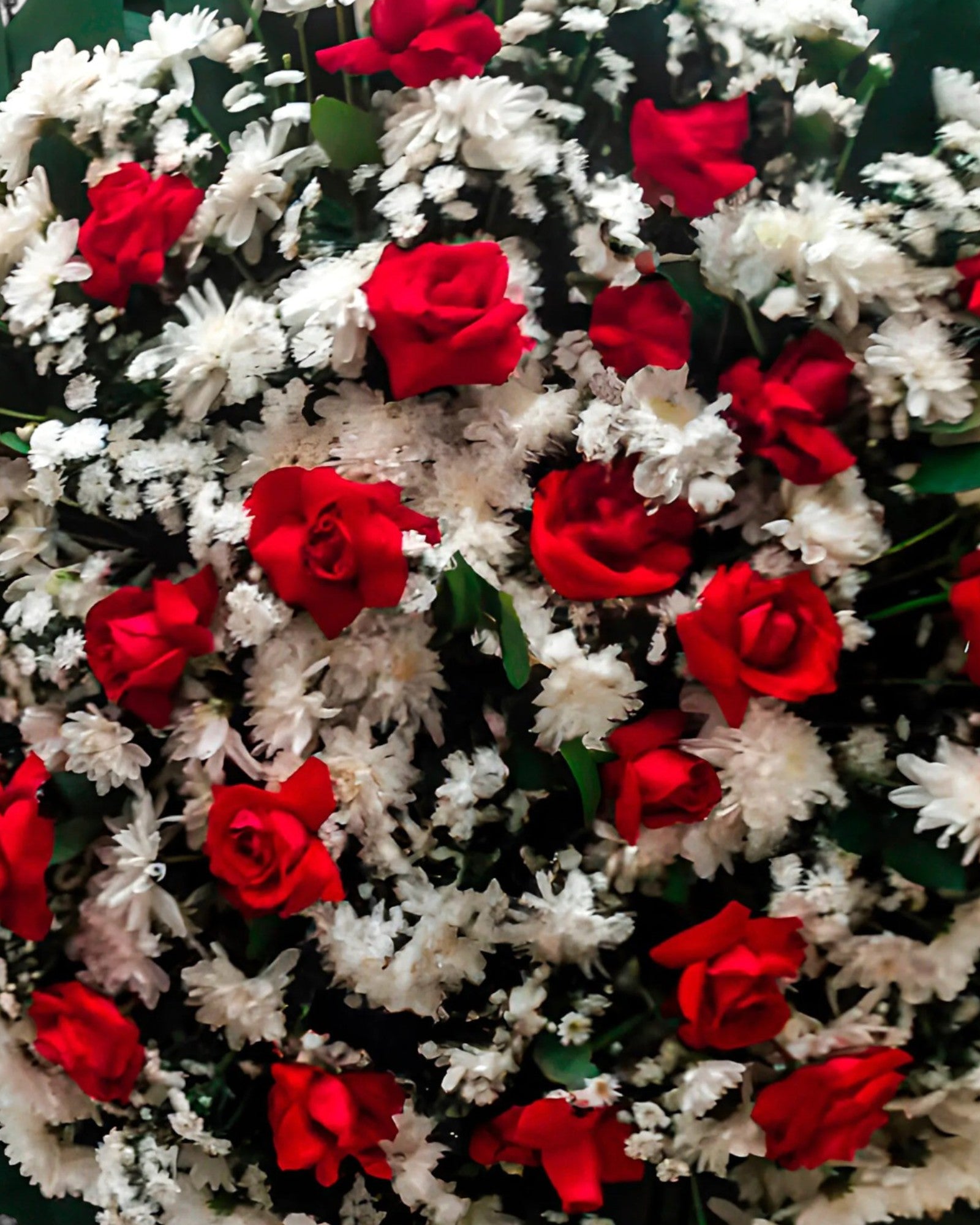 Coroa Tradicional 4
