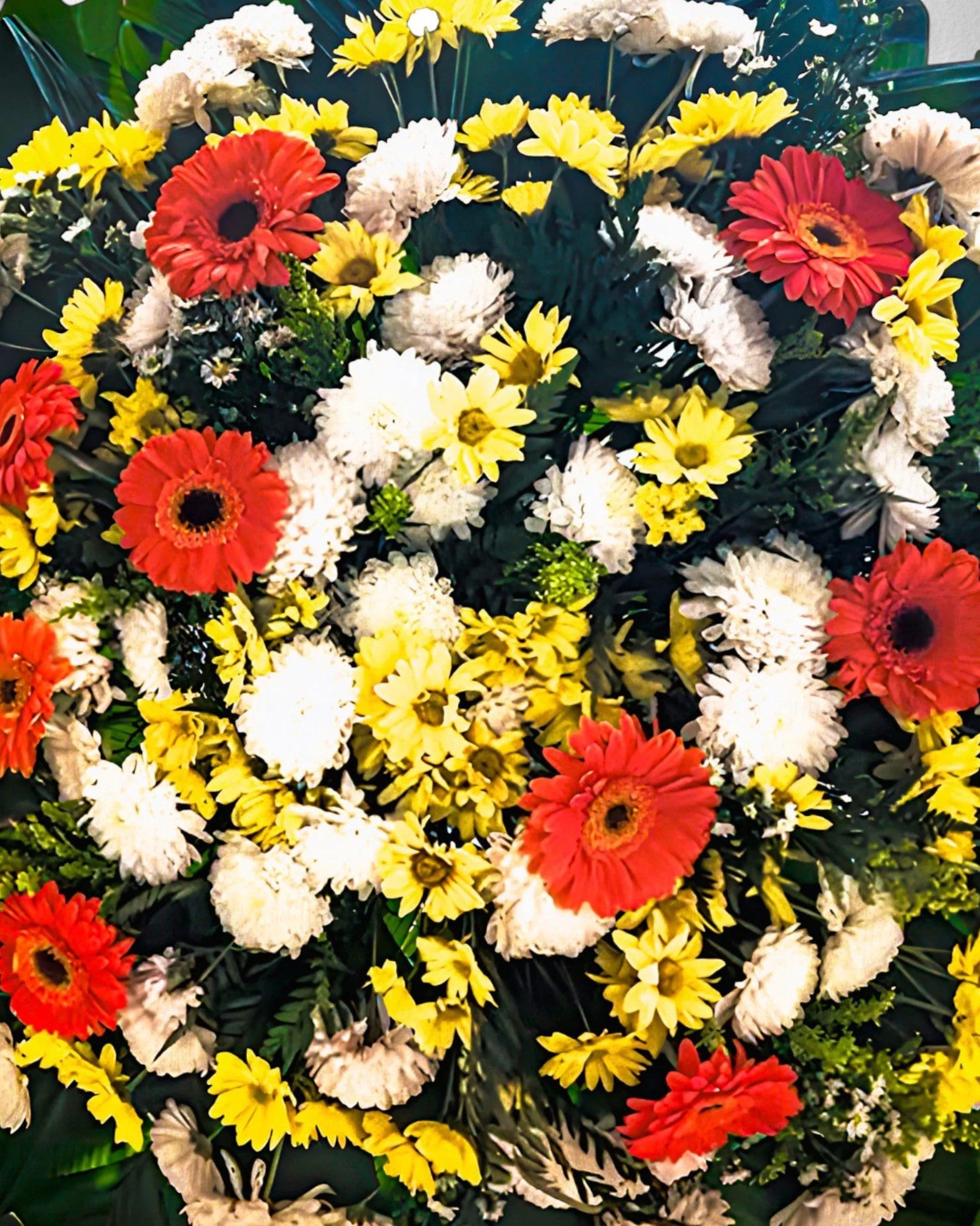 Coroa Tradicional 3