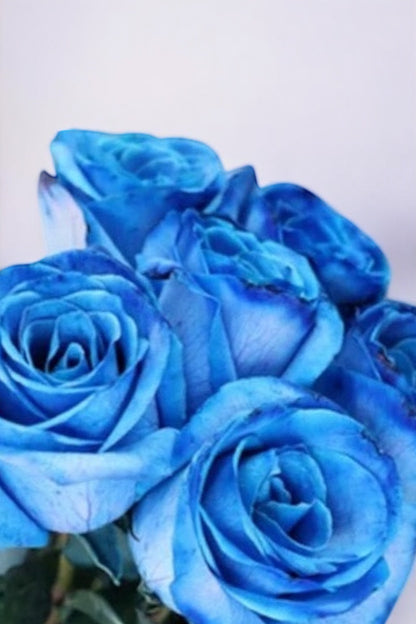 Cone de Rosas Azuis