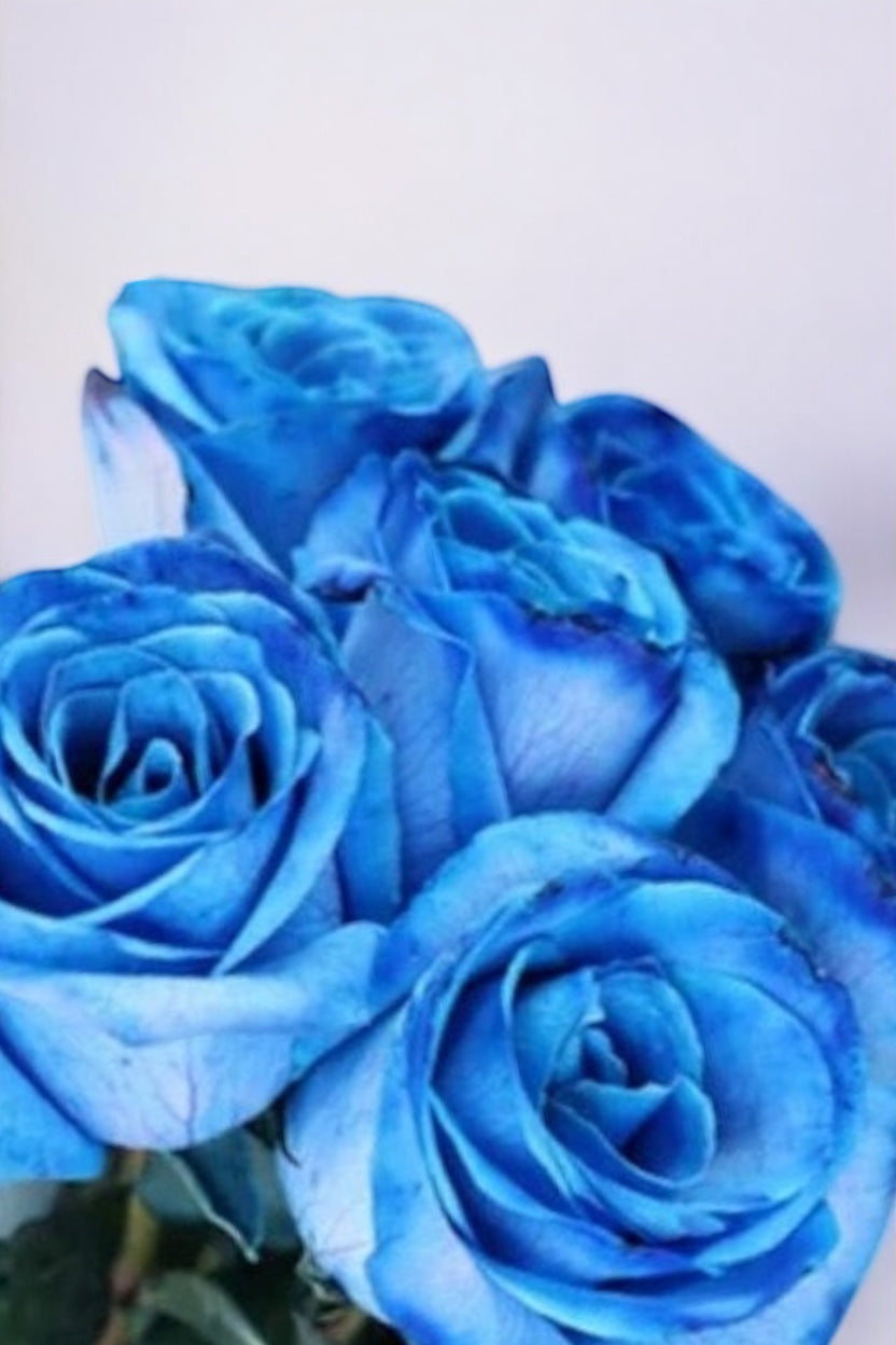 Cone de Rosas Azuis