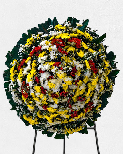 Coroa Tradicional 6