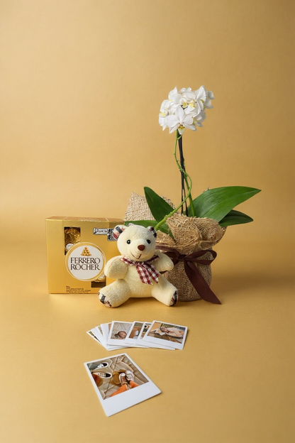 Combo - Mini Orquídea Branca