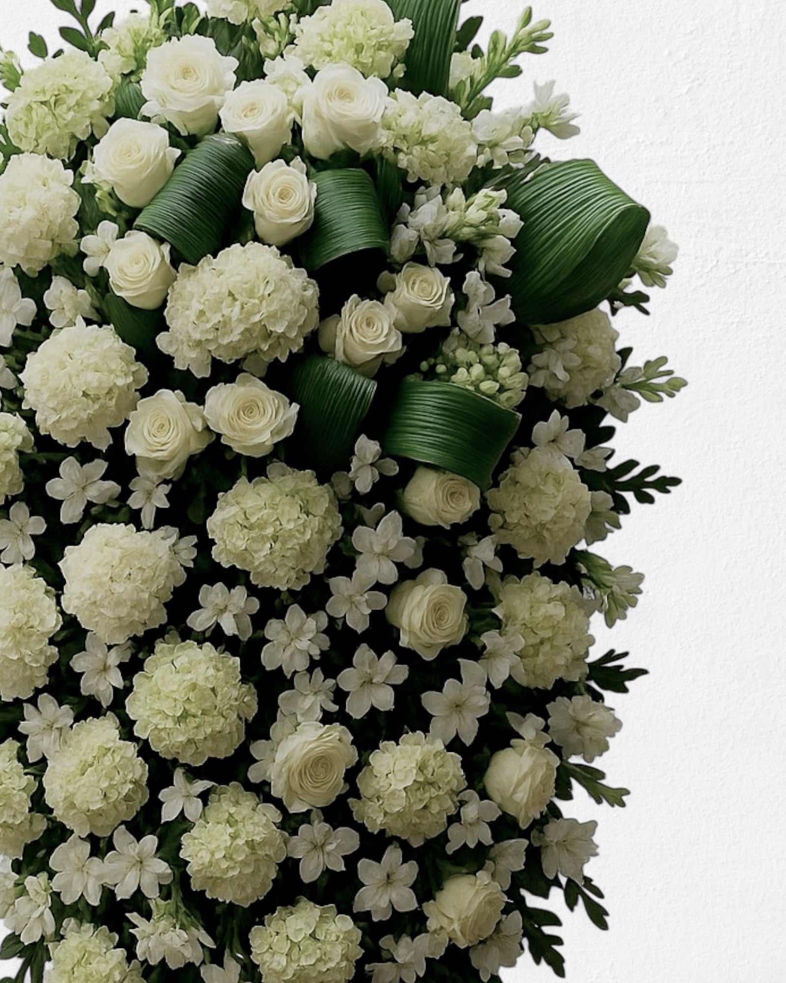 Coroa Tradicional 2  · G
