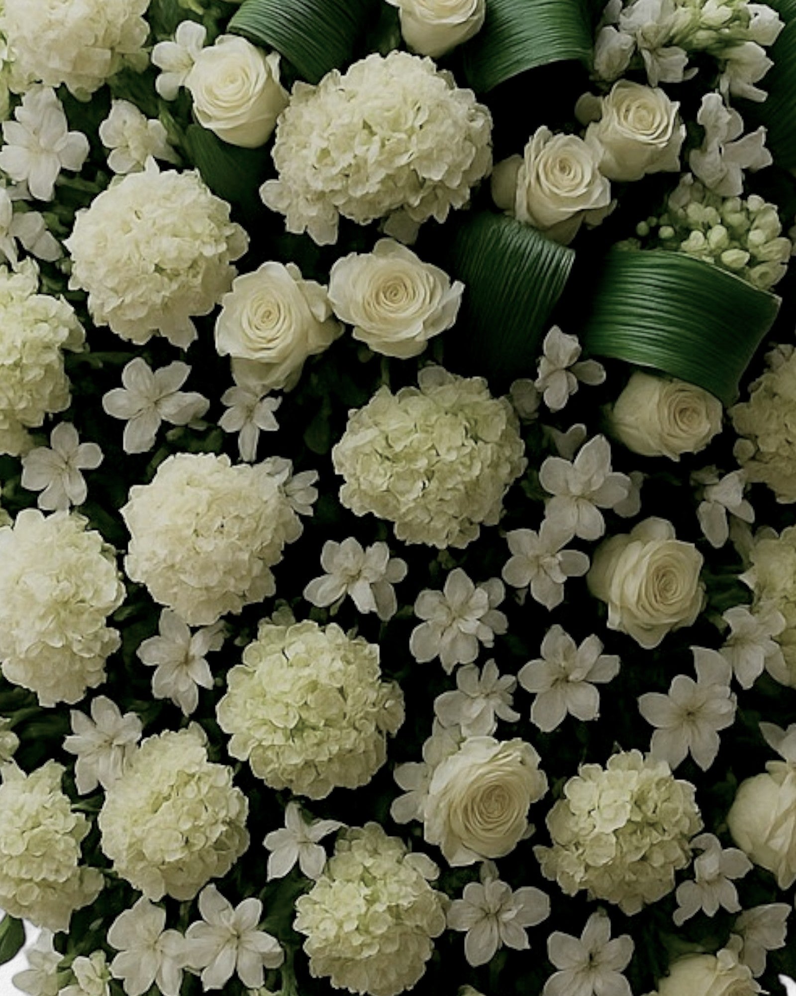 Coroa Tradicional 2  · G