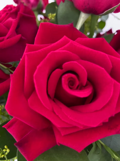 Buquê de 12 Rosas Vermelhas